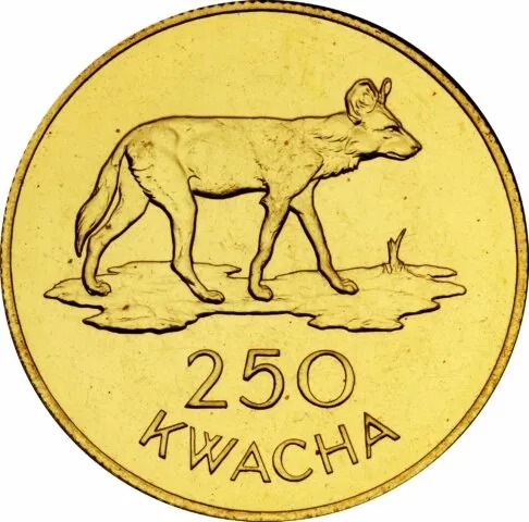 ザンビアのアンティークコイン特集！おすすめ金貨や銀貨はどれ